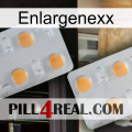 Enlargenexx 25